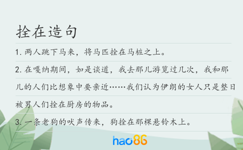 拴在造句