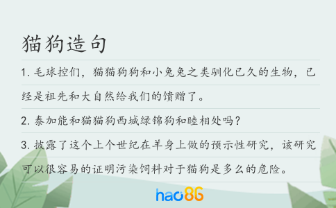 貓狗造句