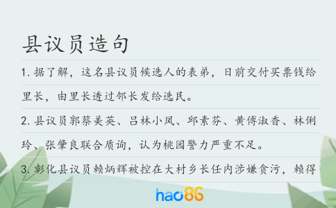 縣議員造句