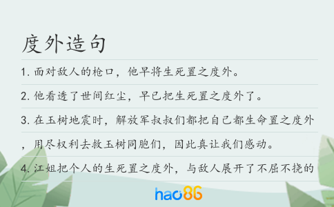 度外造句