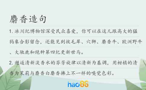 麝香造句