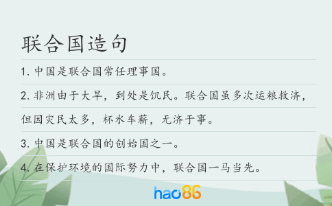 聯合國造句