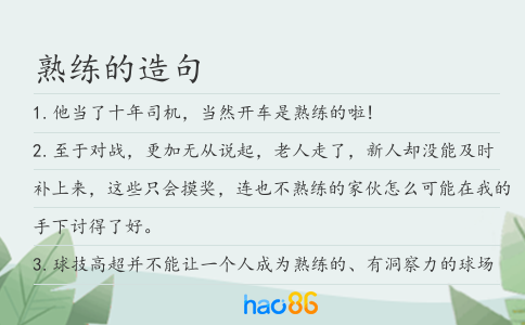熟練的造句