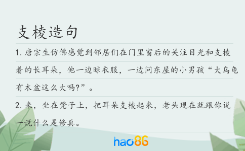 支棱造句