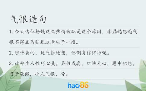 氣恨造句