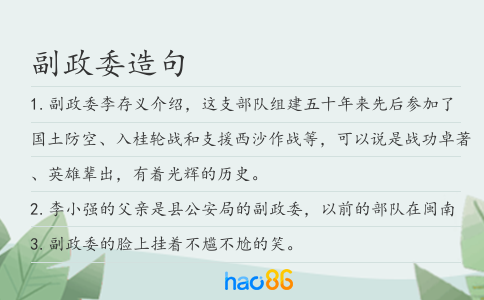 副政委造句