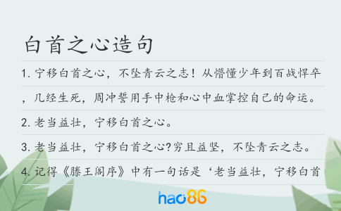 白首之心造句
