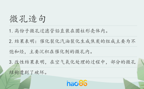 微孔造句