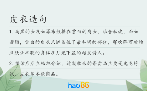 皮衣造句