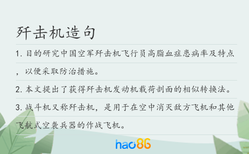 殲擊機造句