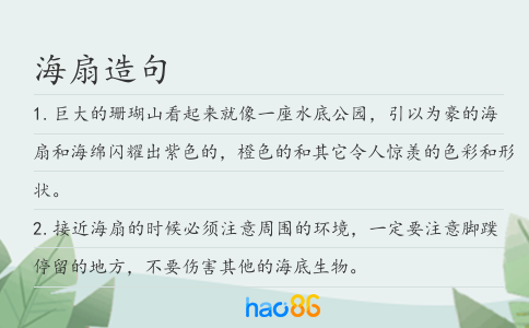 海扇造句