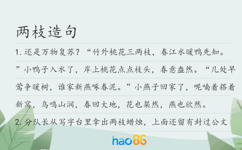 兩枝造句