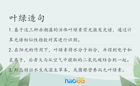 葉綠造句