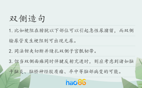 雙側(cè)造句