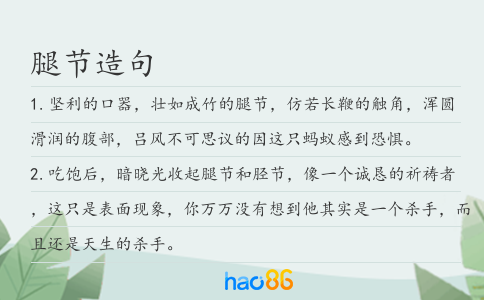 腿節造句
