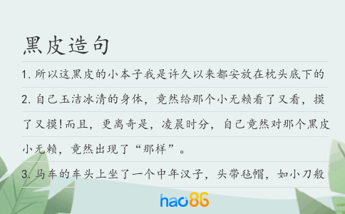 黑皮造句