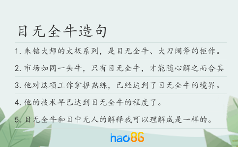 目無全牛造句