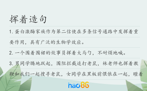 揮著造句