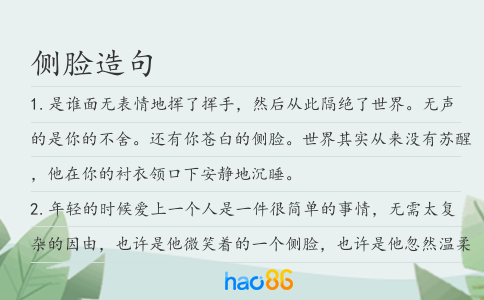 側臉造句
