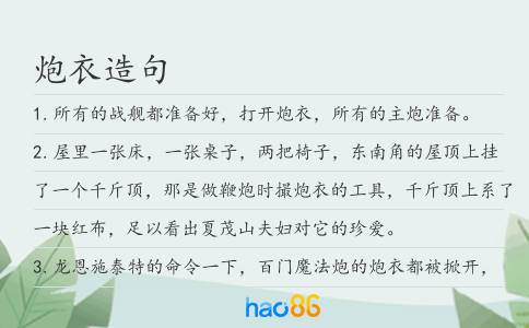 炮衣造句