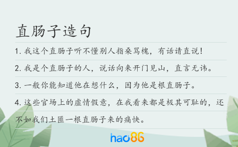 直腸子造句