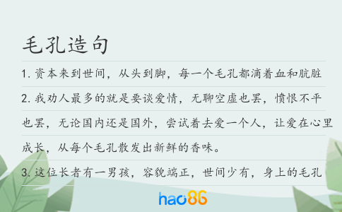 毛孔造句