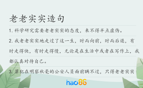 老老實實造句