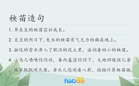 秧苗造句