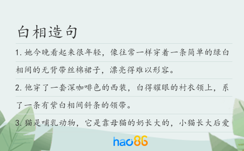白相造句