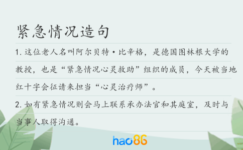 緊急情況造句