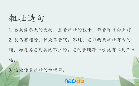 粗壯造句