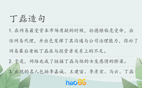 丁磊造句