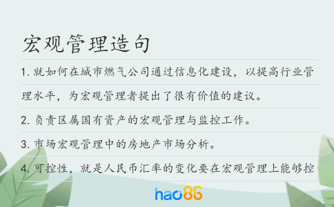 宏觀管理造句