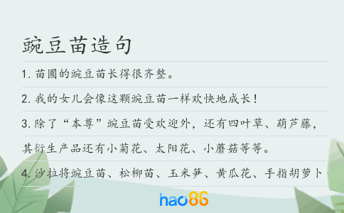 豌豆苗造句