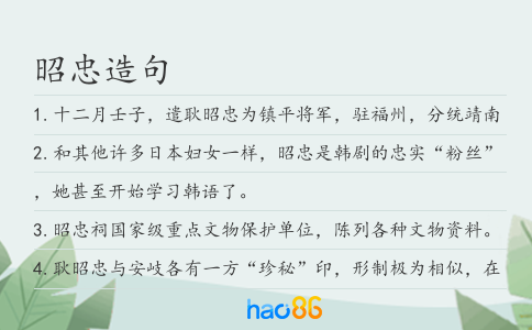 昭忠造句