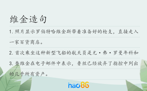 維金造句