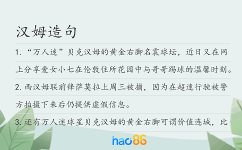 漢姆造句