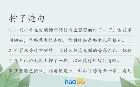 擰了造句
