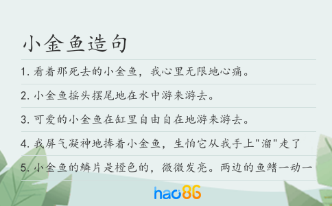 小金魚造句