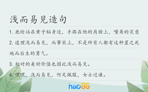 淺而易見造句