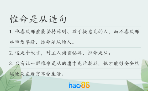 惟命是從造句