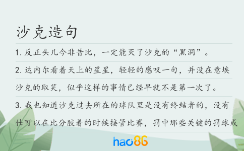 沙克造句