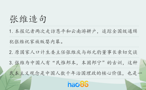 張維造句