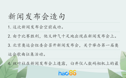 新聞發(fā)布會(huì)造句