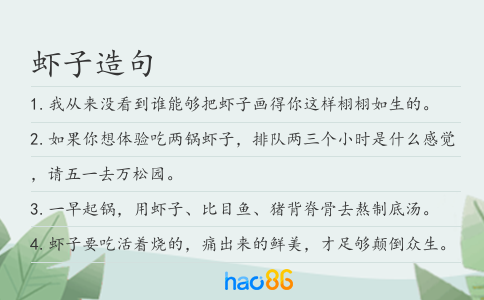 蝦子造句