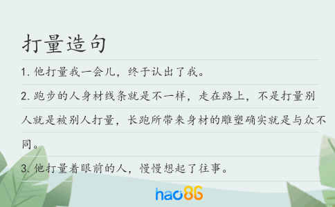 打量造句