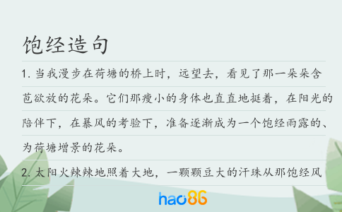 飽經(jīng)造句